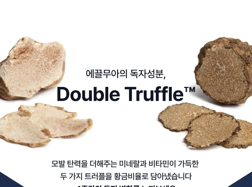 [하늘 PICK/볼륨향기UP] 에끌무아 더블트러플 탈모케어 퍼퓸 샴푸 500ml 상세페이지 45